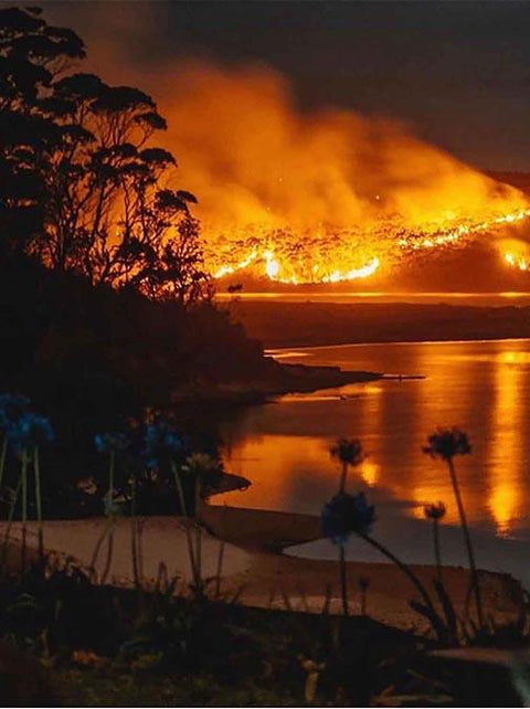 How You Can Help in the Australian Bushfire Crisis