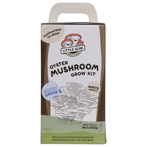 White Oyster Mushroom Grow Kit