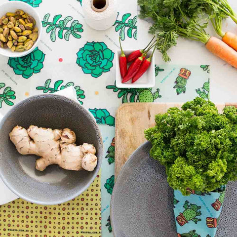 Reusable Vegan Food Wraps - Cacti & Succulents Print