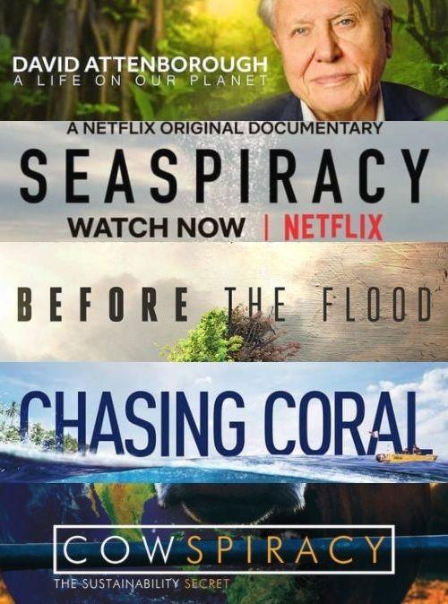 Nature Document 5 Must-See Environmental Documentaries | Flora & Fauna