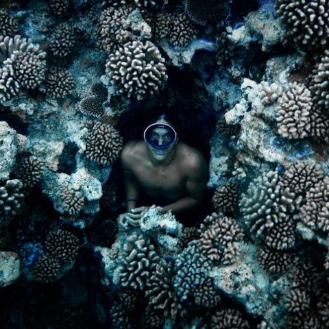 Coral Gardeners | Restoring Coral Reefs in Tahiti!