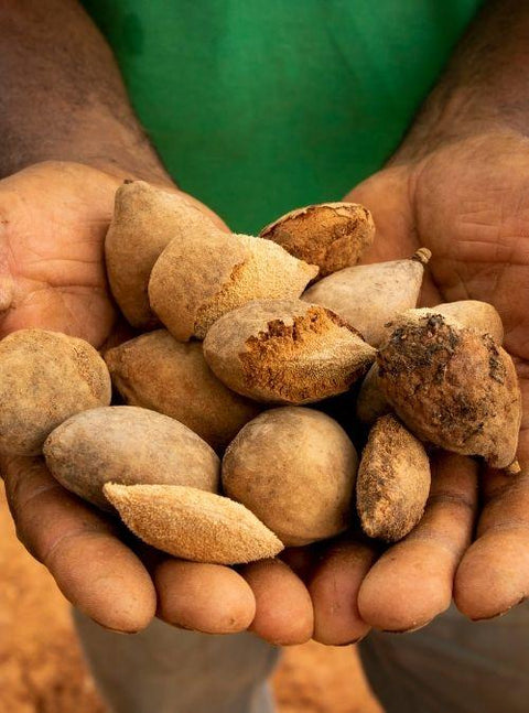 Barukas Nuts | The Healthiest Nuts In The World