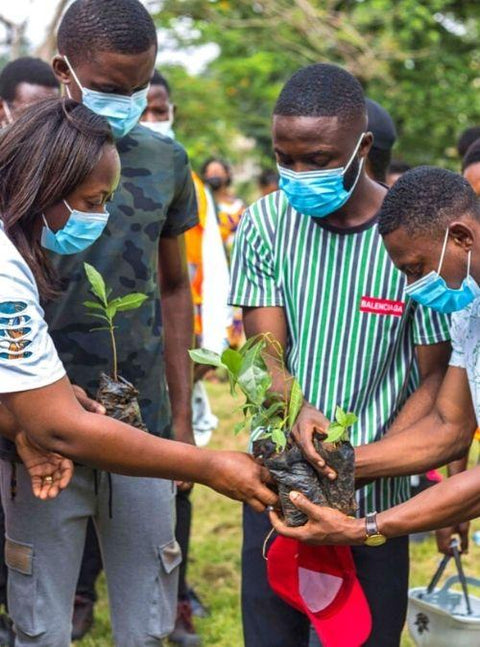 Ghana Planted 5 Million Trees In A Single Day!