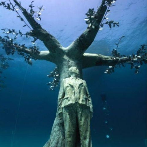 This Underwater Sculpture Park Is Attracting Marine Life!