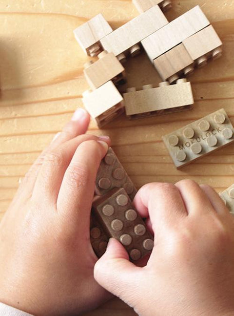 Mokulock | A Sustainable Alternative to Lego!