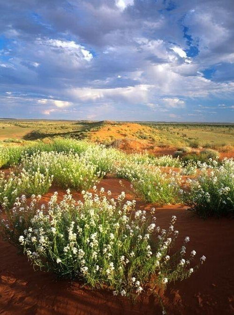 Why You Should Wear Sunscreen All Year Round | Flora & Fauna