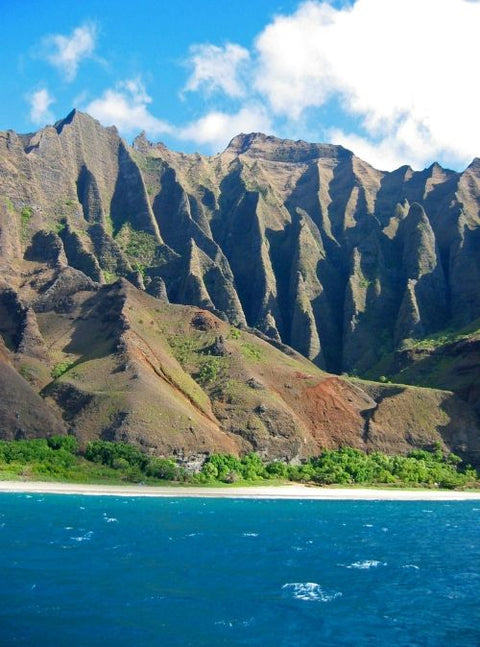 These Drones Are Discovering Nearly-Extinct Plants On Cliffs In Hawaii!