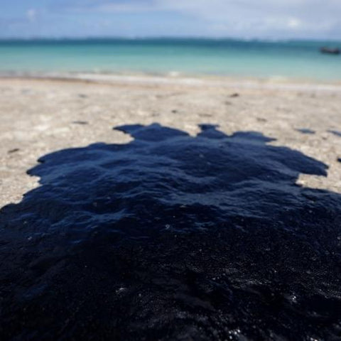 Human Hair Is a Surprising Resource for Cleaning Up Oil Spills