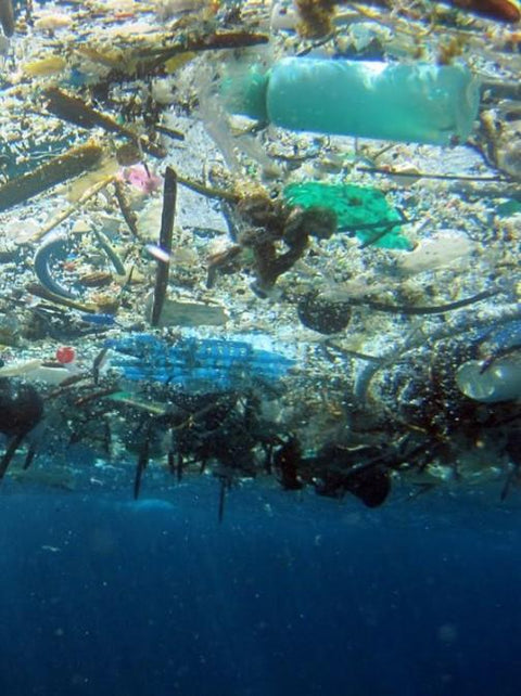 What Is The Great Pacific Garbage Patch?