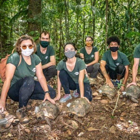 ‘Project Refauna’ Is Reviving This Empty Brazilian Forest — One Species At A Time