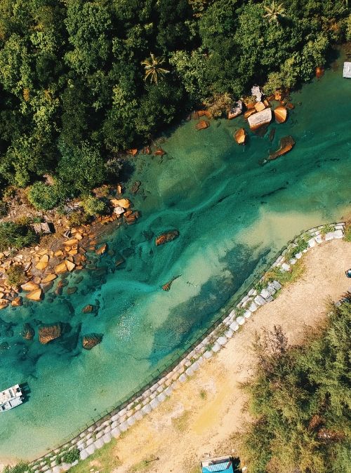 How Using Nature’s Tools Is Helping to Clean Up Urban Rivers! | Flora ...