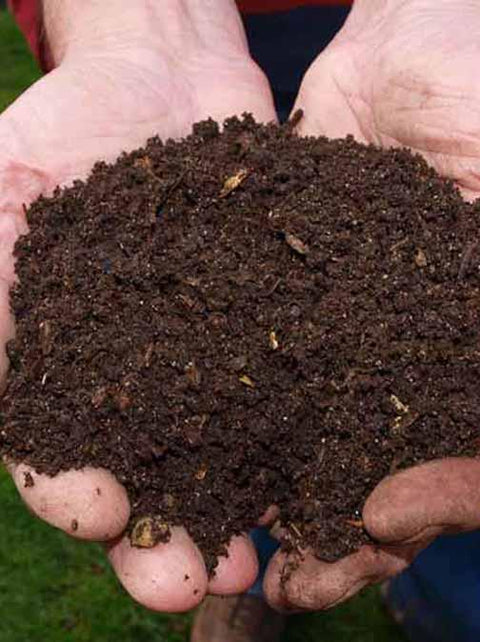 A Beginner's Guide to Composting