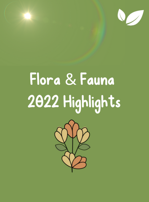 Flora & Fauna's 2022 Highlights!