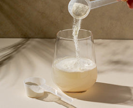 Vegan Protein & Smoothie Mixes