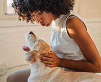 Dog Treatments & Care