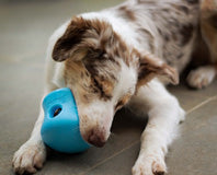 Eco-Friendly Pet Toys