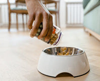 Vegan Pet Food & Treats