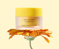 The Jojoba Company