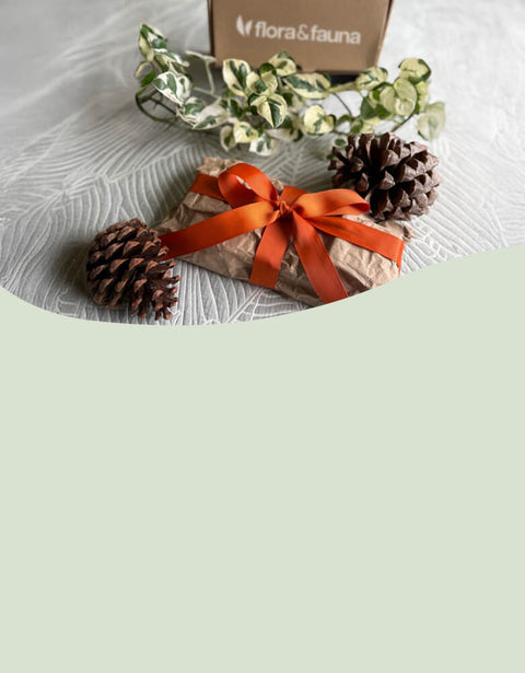 The best gifts don’t cost the earth.