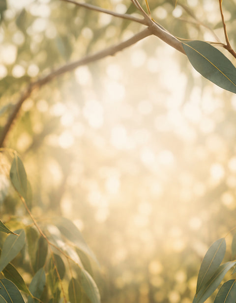 Close-up of tree branches with leaves and a blurred natural background
