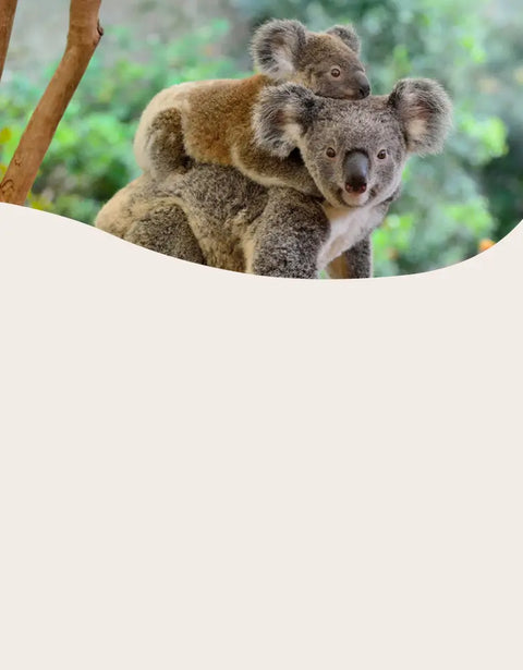 11% off new arrivals