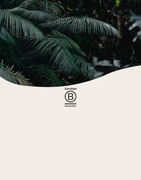 Certified B Corporation logo on a white background with green foliage above