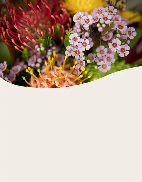 Close-up of colorful flowers with a white border