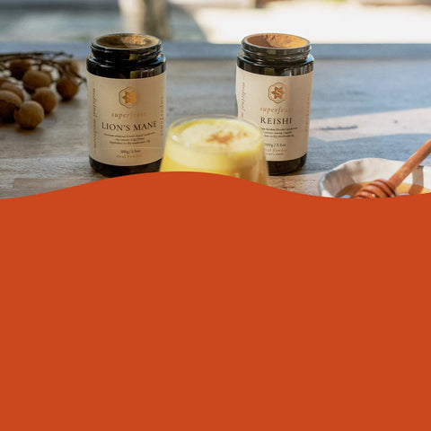 Two jars labeled 'Lion's Mane' and 'Reishi' on a wooden surface with a blurred background.