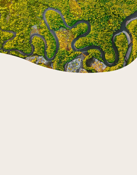 Winding road through a green landscape with a white background