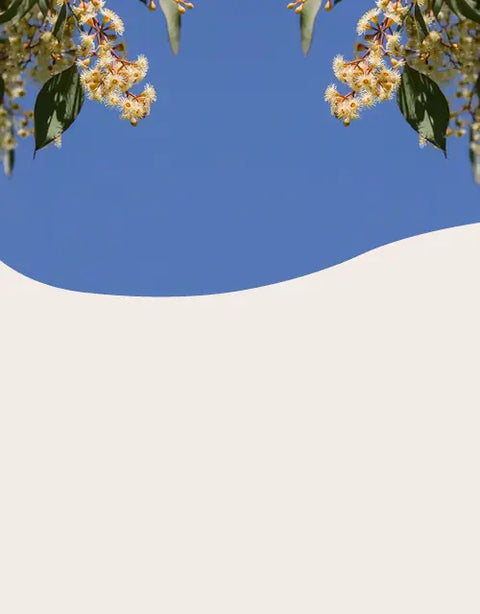 A minimalist graphic design featuring a large cream-colored abstract wave shape at the bottom, a solid blue sky shape at the top, and delicate white flowers with green leaves hanging from the corners.