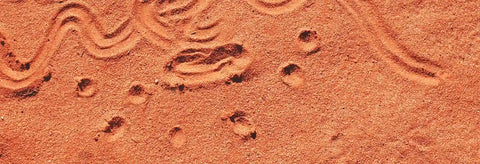 Certified B Corp.  Serious about it, too.