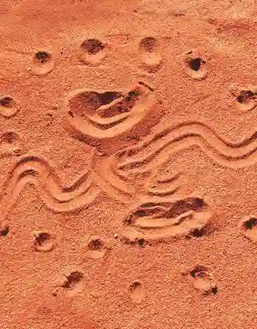 Certified B Corp.  Serious about it, too.