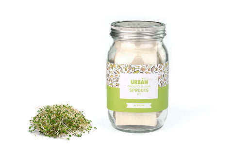 Sprout Jar Kit Alfalfa