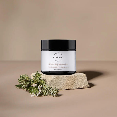 A jar of Night Rejuvenation cream sits on a textured stone slab with small green leaves in the foreground, set against a solid beige background.