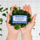 Bar of magic soap with a blue label held between two hands surrounded by mint leaves on a white tiled background