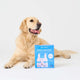 Dog sitting next to a 'Dr. Zoo Ditch the Itch' product box on a white background
