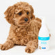 Brown dog sitting next to a bottle of Dr. Zoo Sensitive Shampoo on a white background.