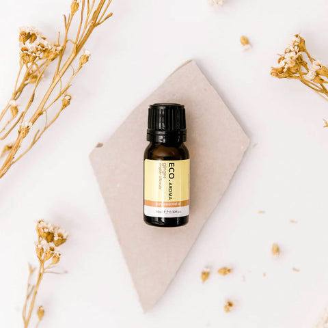 Ginger Pure Essential Oil