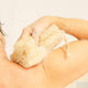 Person using a loofah sponge on their arm with a neutral background.