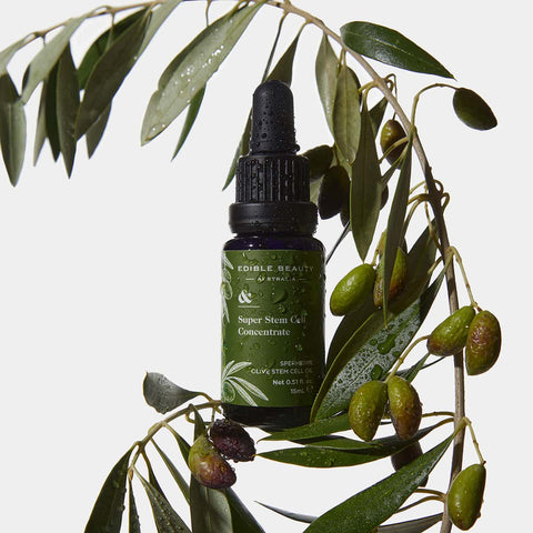Bottle of Edible Beauty Super Stem Cell Concentrate 15ml on an olive branch with olives.