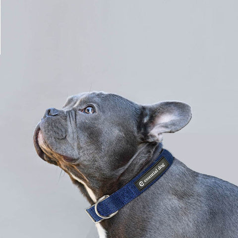 Organic Hemp & Cotton Dog Collar - Ink Blue