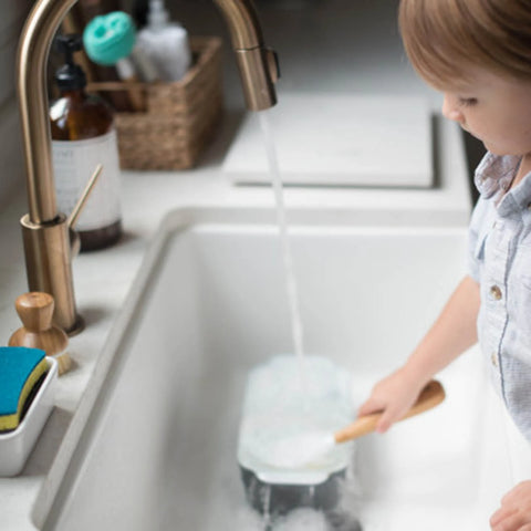 Be Good Dish Brush