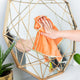 Hand holding an orange cloth against a geometric gold framed mirror with plants in the background.