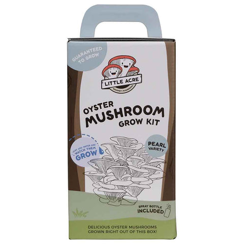 Pearl Oyster Mushroom Grow Kit