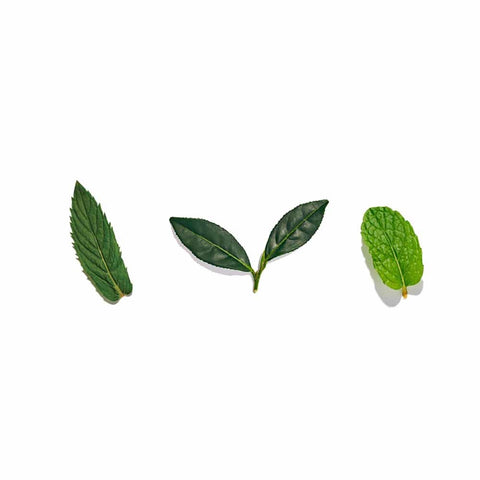 Moroccan Mint Loose Leaf Tea
