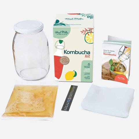 DIY Kombucha Kit