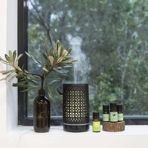 Aromatherapy diffuser with steam, a plant, and essential oil bottles on a windowsill with a blurred green outdoor background.