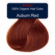 Auburn hair colour with Radico branding on a white background.