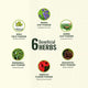 List of six beneficial herbs with images and names on a beige background.