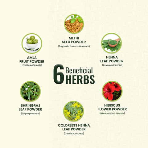 List of six beneficial herbs with images and names on a beige background.